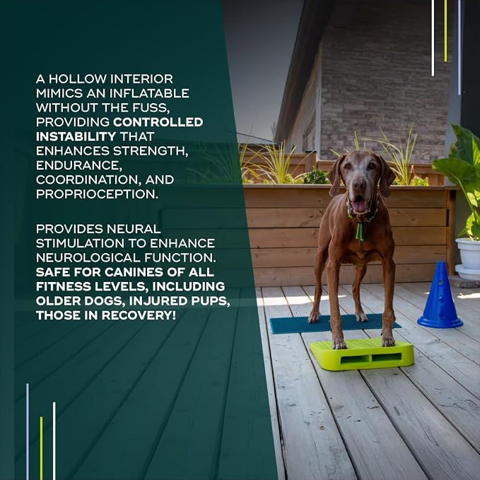 FitPAWS Balance Ramp | Dog Agility Equipment - Image 5