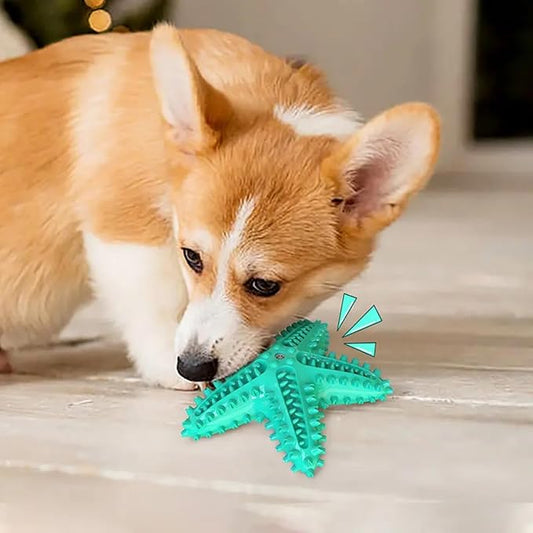 Chew Toy for Dog Toothbrush Stick Dog Toys for Aggressive Chewers Interactive - Image 2
