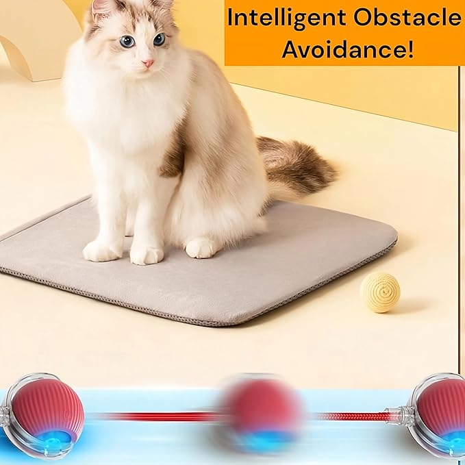 Interactive Electric Automatic Rolling Moving Rechargeable Self Play - Image 7