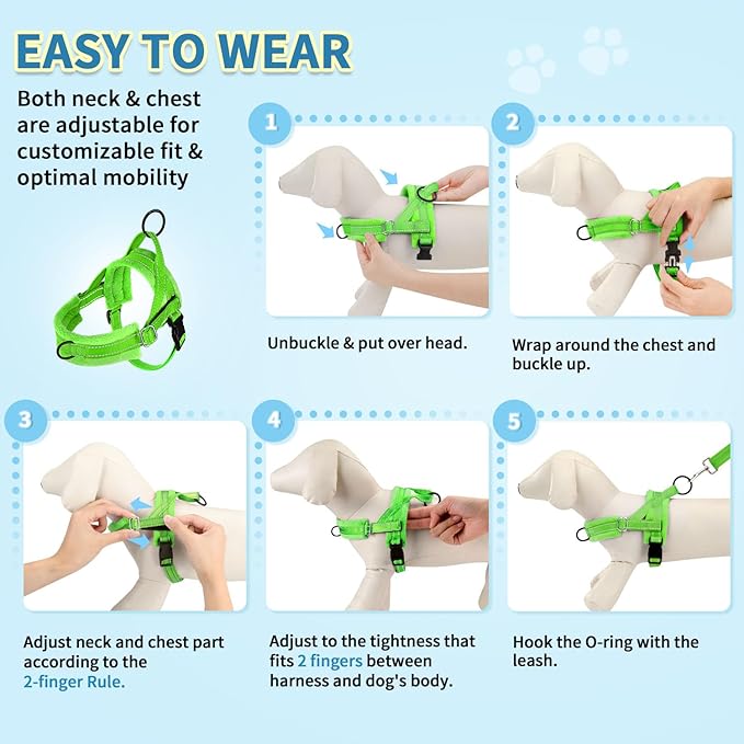 SlowTon No Pull Small Dog Harness and Leash Set, Puppy Soft Vest Harness Neck & - Image 9