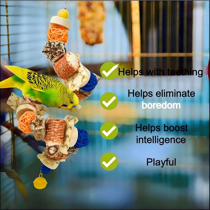 Parakeet Swing Toys, Bird Cage Hanging Chewing Toys, Natural Bird Parrot Toys - Image 7