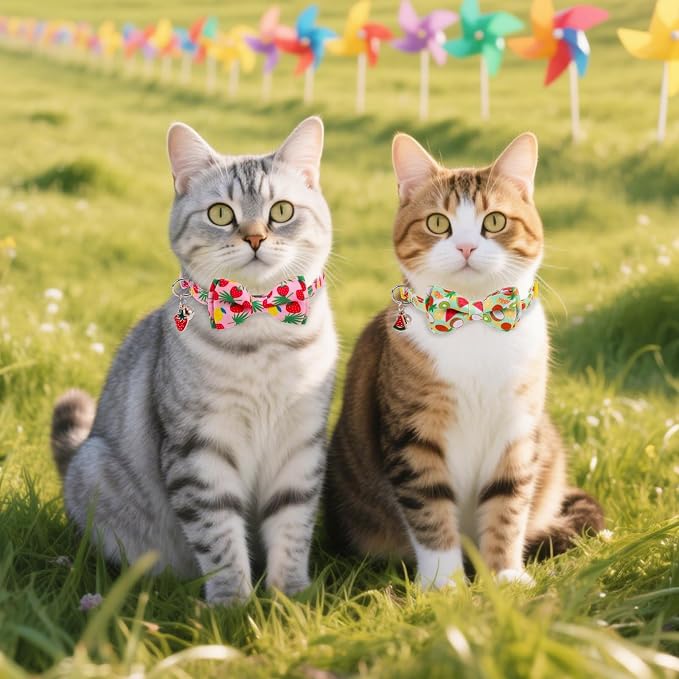 Cat Collar with Bell Bow Tie Fruit Breakaway Bowtie Cat Collar - Image 7