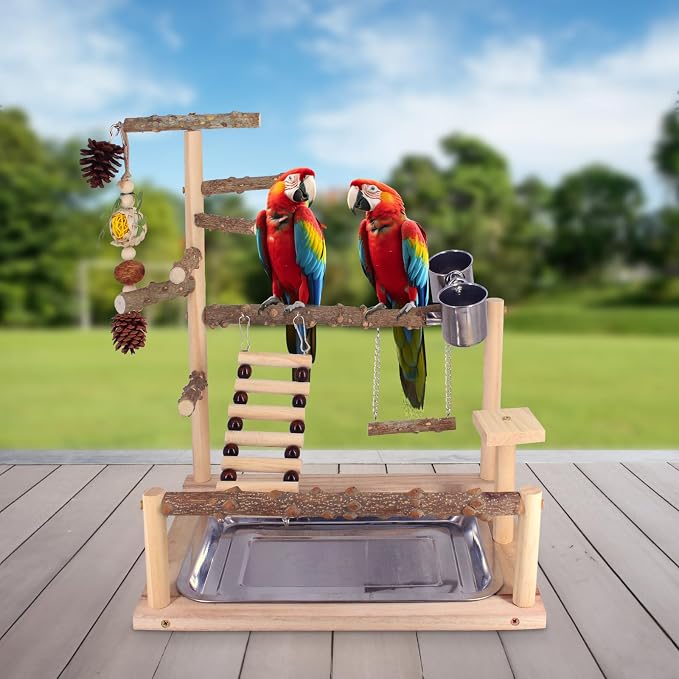 Bird Playground Natural Parrot Toys Perch Stand Cockatiel Swing - Image 8