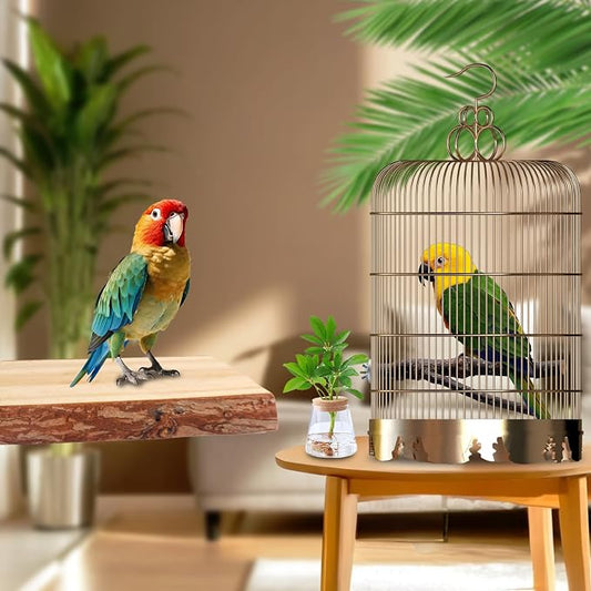 Bird Toys Parakeet Perch Budgie Perch Wood Stand Fork Toys Multi-Branch Perch - Image 2