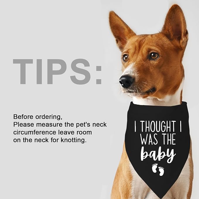 I Thought I was The Baby Bandana Pet Scarf Pregnancy Announcement Bandana Dog - Image 7