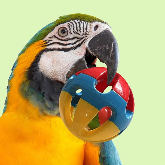 SIMENA Parrot Ball Toy with Bell, Cage Hanging Accessories - Image 2