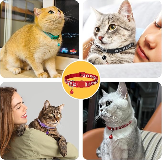Taglory Kitten Collar Breakaway - Image 7