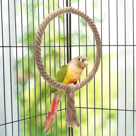 Bird Rope Swing Toy Parrot Climbing Perch Stand - Image 2