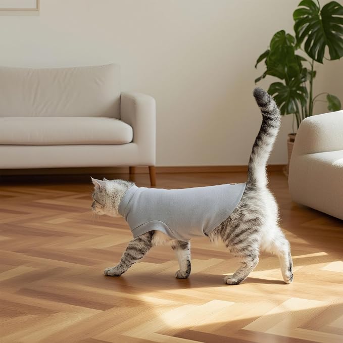 EXPAWLORER Soft Cat Sweater - Image 6