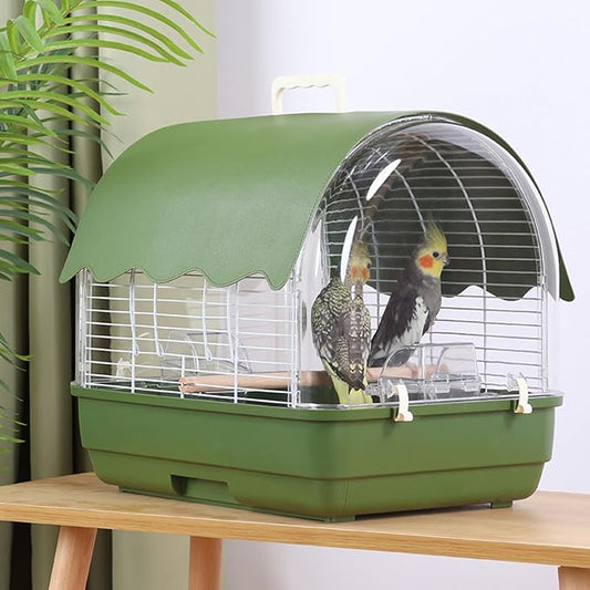 Transparent Small Bird - Image 2