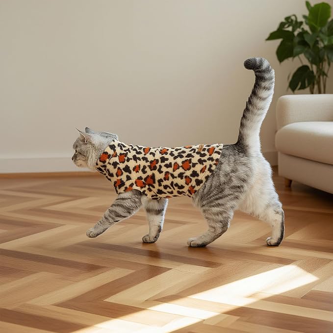 EXPAWLORER Soft Cat Sweater - Image 6
