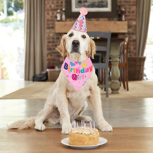 ADOGGYGO Dog Birthday Party Supplies - Image 2