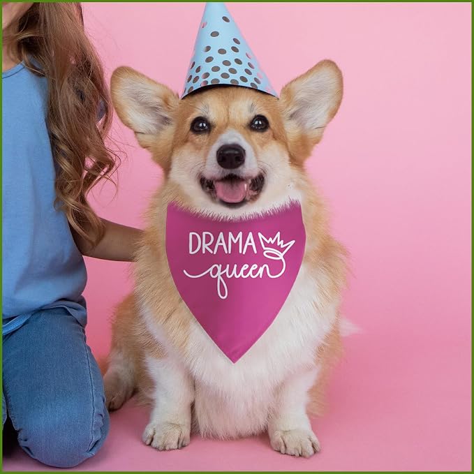 Drama Queen Printed Dog Bandana Funny Dogs Mom Birthday Gifts Pink Dog Bandana - Image 6