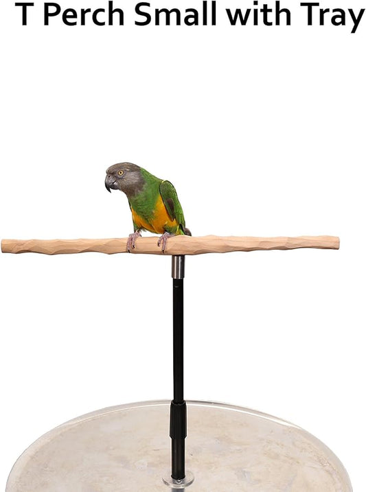 Parrot Training Perch Stand - Image 2