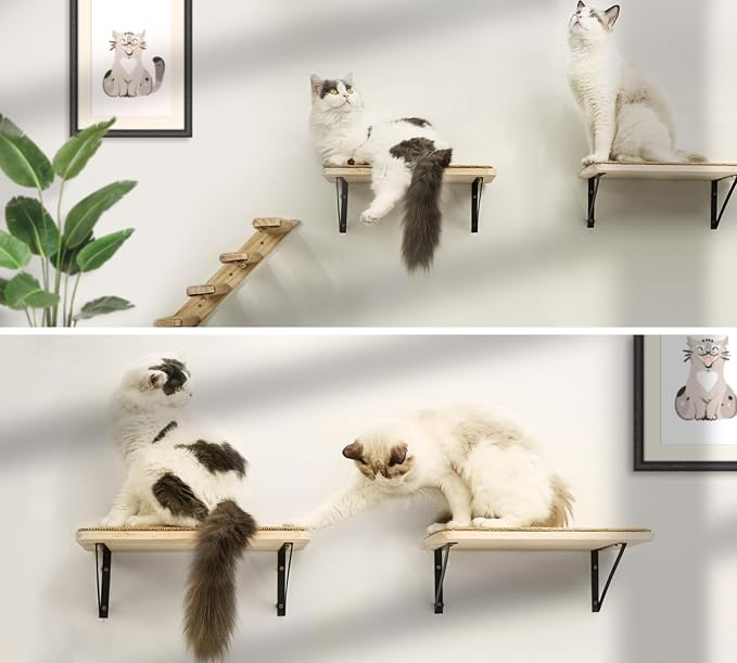 Cat Floating Wall Shelf with Scratching Mat, Support to 30 LBS - Image 9