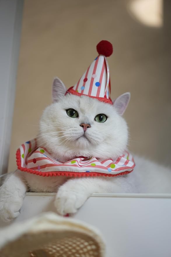 Cat Dog Birthday Bandana Scarf and Party Hat Cute Polka dot and Stripe Bib - Image 6