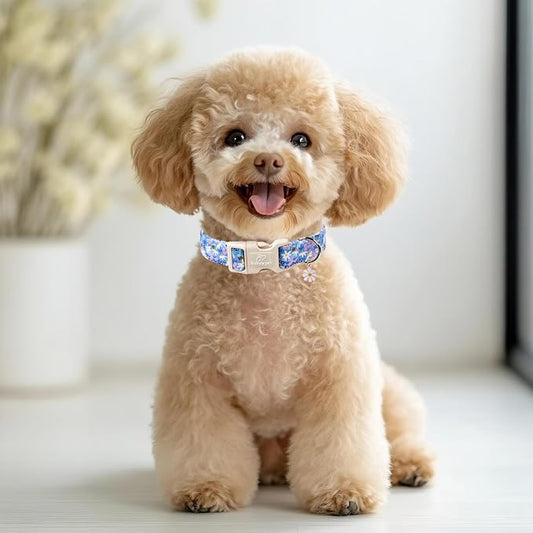 Floral Dog Collar for Small Dogs - Image 2