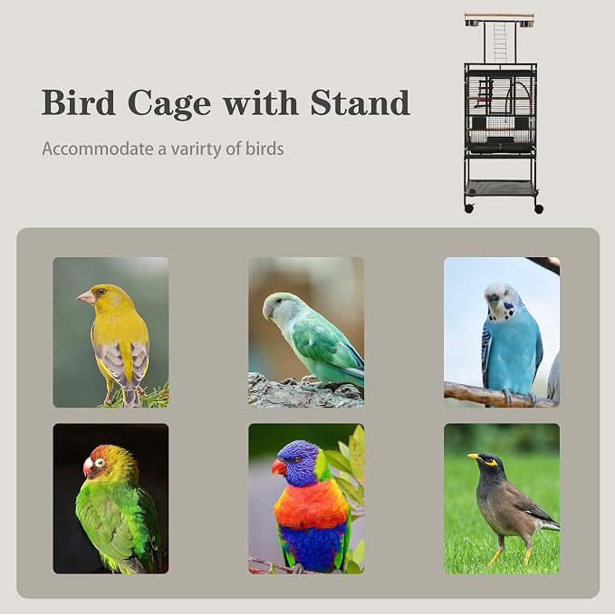 51" Small Bird Cage with Stand, Parakeet Cage, Parrot cage with Parakeet Toys - Image 9