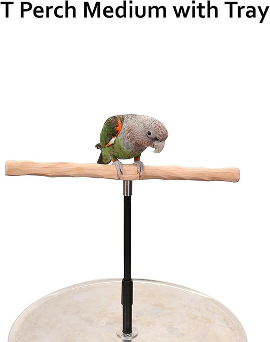 Parrot Training Perch Stand - Image 2