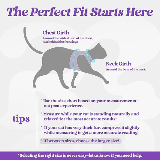 rabbitgoo Cat Harness and Leash Set - Image 2