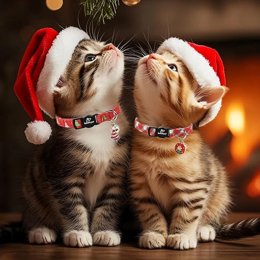 2 Pack Christmas Cat Collars - Image 2