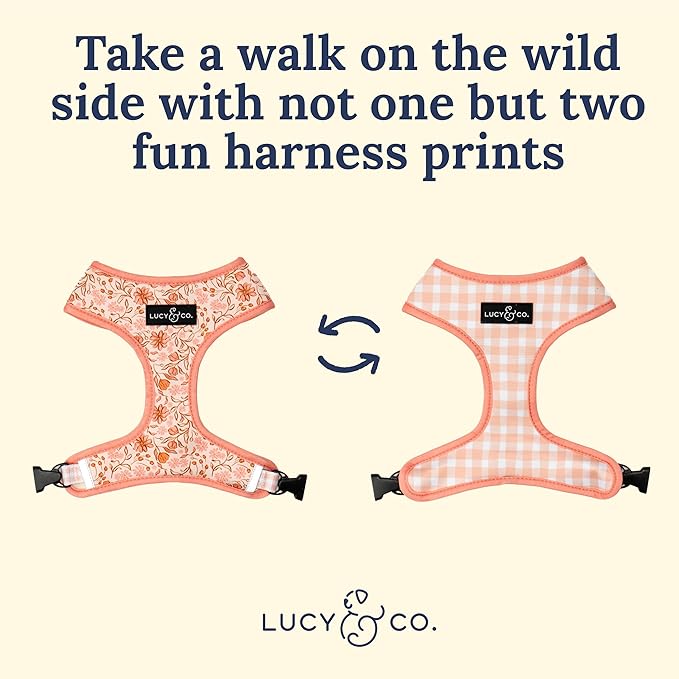 Lucy & Co. Cute Reversible Dog Harness Walking Halter - Image 4