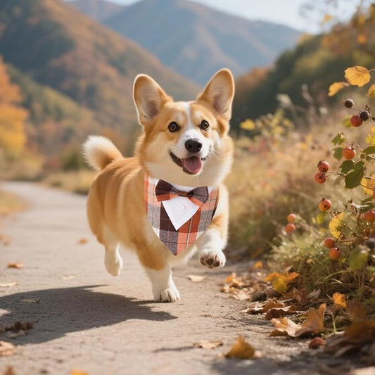 ADOGGYGO Fall Dog Tuxedo Bandana, Adjustable Halloween Thanksgiving Costume - Image 2