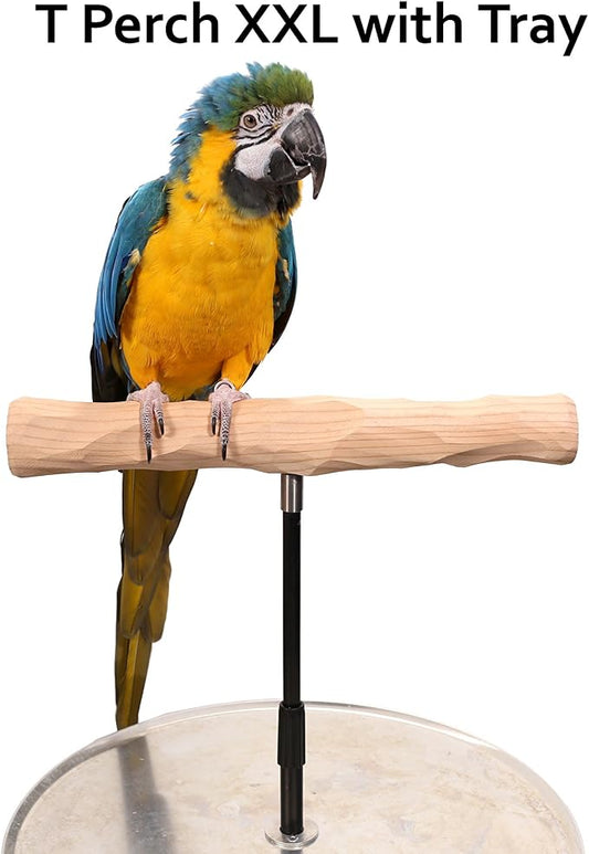 Parrot Training Perch Stand - Image 2