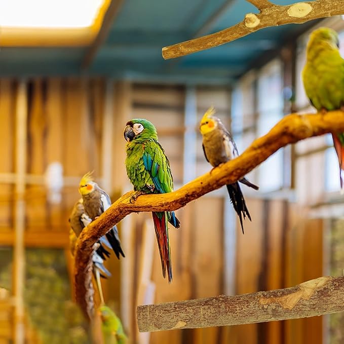 8 PCS Natural Bird Perch Set - Image 10