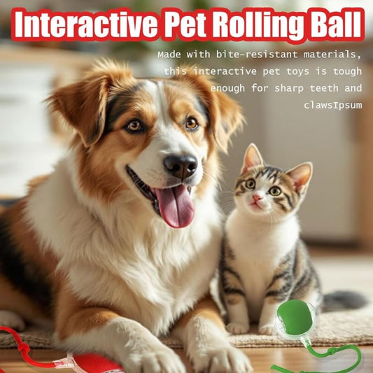2025 New Interactive Dog Cat Toys Balls, Interactive Rolling Ball Cat Toy - Image 2