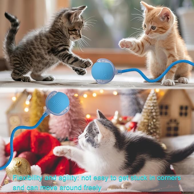 Interactive Cat Dog Toy Ball: Indoor Small Automatic Moving Smart Rolling Fun - Image 9