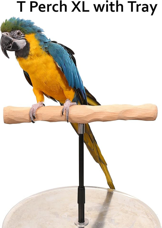 Parrot Training Perch Stand - Image 2
