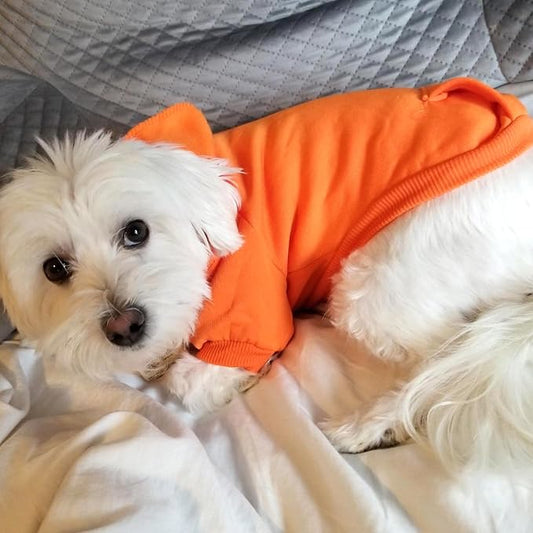 Jecikelon Winter Dog Hoodie Sweatshirts - Image 2