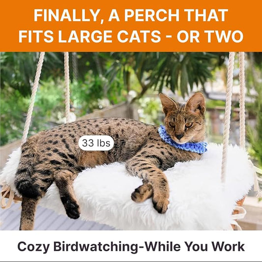 Large Cat Window Perch with Industrial-Grade Suction Cups - Image 2
