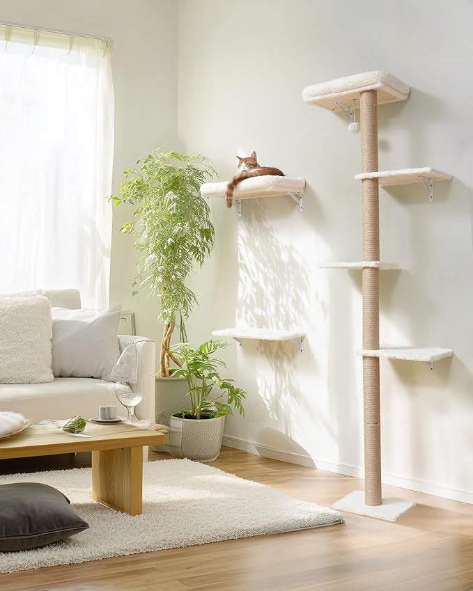 FUKUMARU Cat Wall Shelves, Stable Wall Mounted Cats Furniture Set, Kitten - Image 8