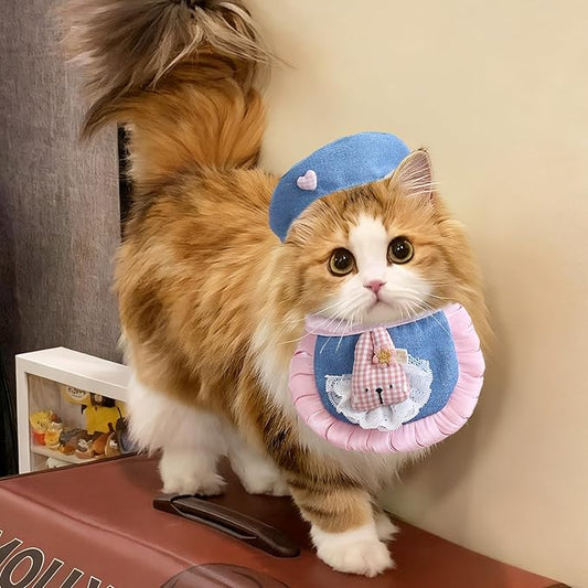 HOWWFALY Adorable Cat Princess Costume Blue Cat Beret - Image 2