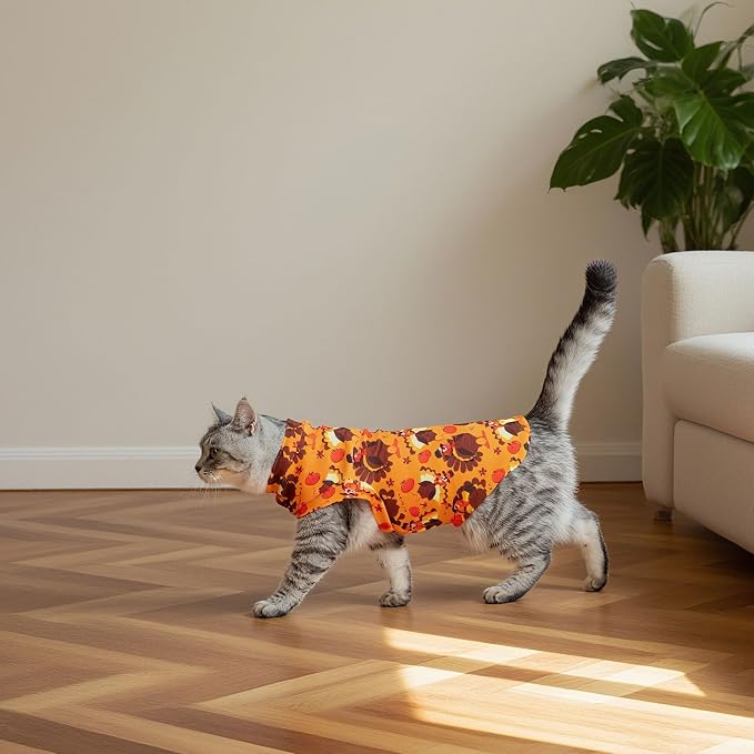 EXPAWLORER Thanksgiving Cat Sweater - Image 6