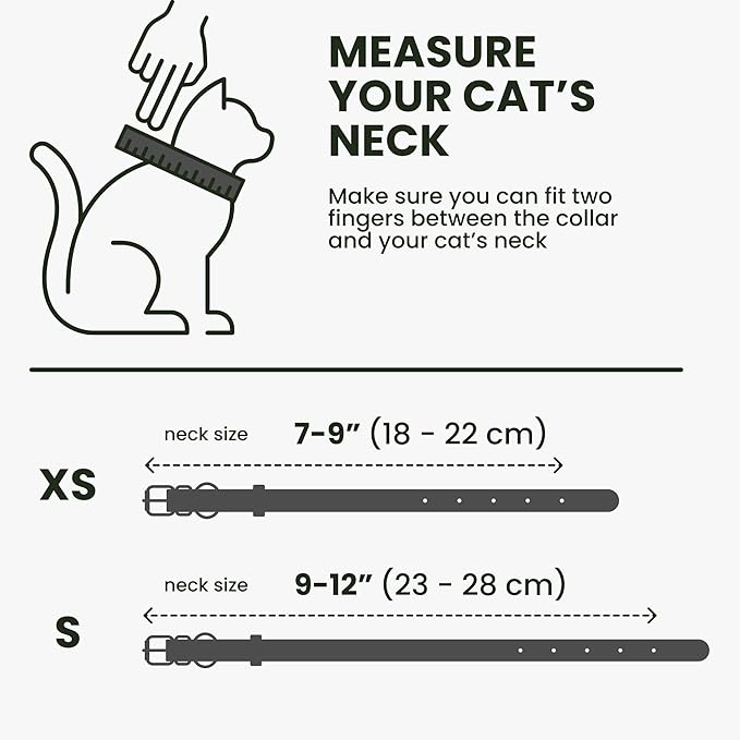 BRONZEDOG Leather Cat Collar - Image 7