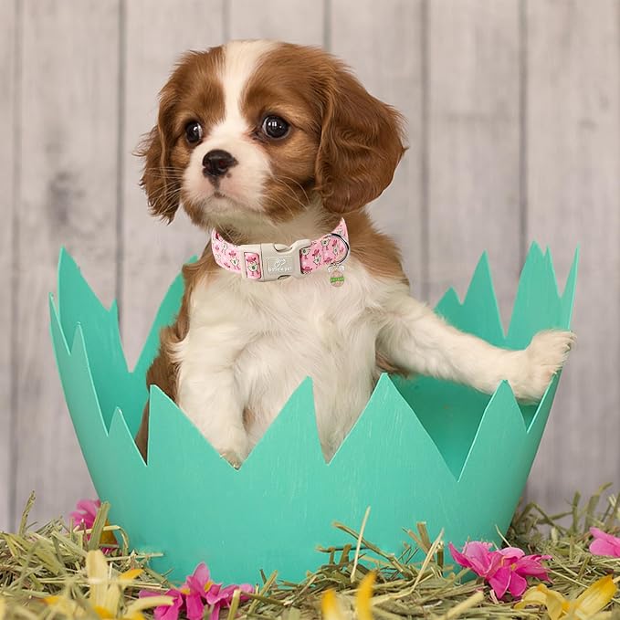 Easter Dog Collar for Small Dogs - Image 5