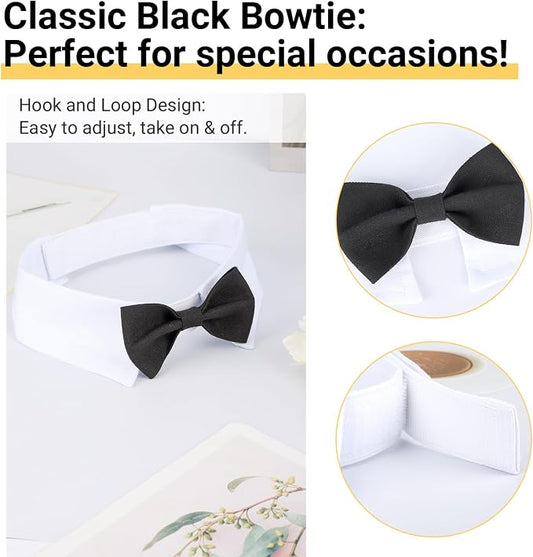 Segarty Dog Bow Tie for Neck Girths 16.5-21.2 in, Adjustable Bowtie Collar for - Image 2