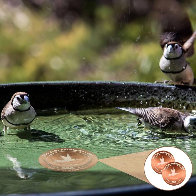 3PCS Pure Copper Bird Bath Purification Disk - Image 7