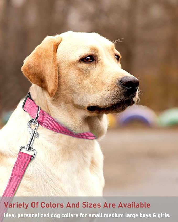Reflective Dog Collar with Buckle Adjustable Safety Nylon Collars - Image 7
