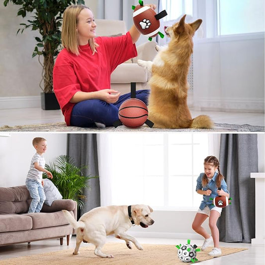 QDAN Dog Soccer Ball Football Basketball Set - Image 2