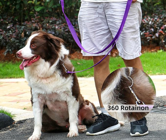 AMAGOOD Dog/Puppy Obedience Recall Training Agility Lead-15 ft 20 ft 30 ft 50 - Image 2