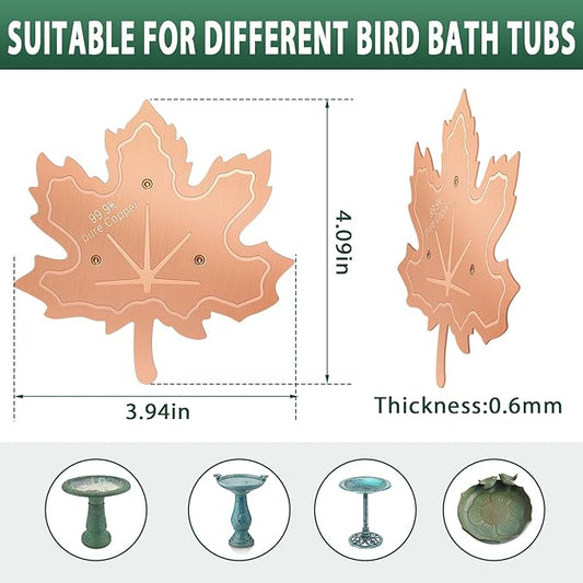 99.99% Pure Copper Bird Bath Disk, 2 Pack 0.6mm Maple Leaf Bird Bath - Image 2