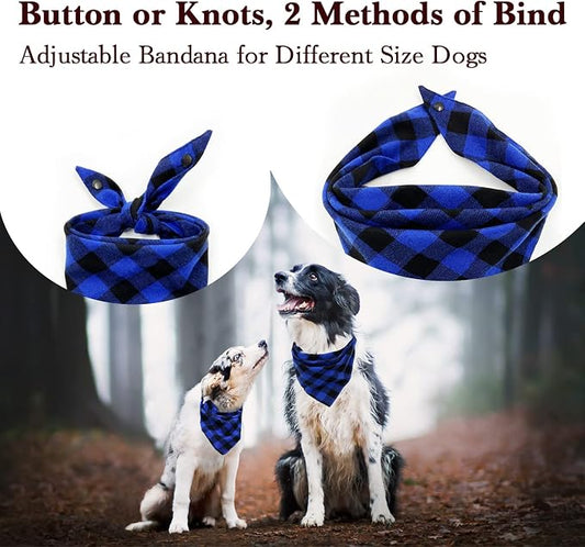 Birthday Plaid Dog Bandana - Image 2