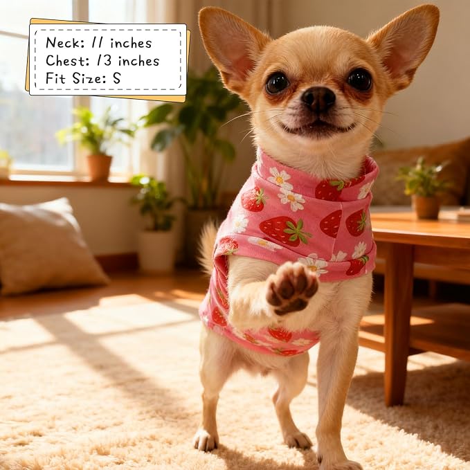 EXPAWLORER Soft Cat Sweater - Image 6