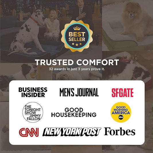 Bedsure Orthopedic Dog Beds for Small Dogs - Image 2