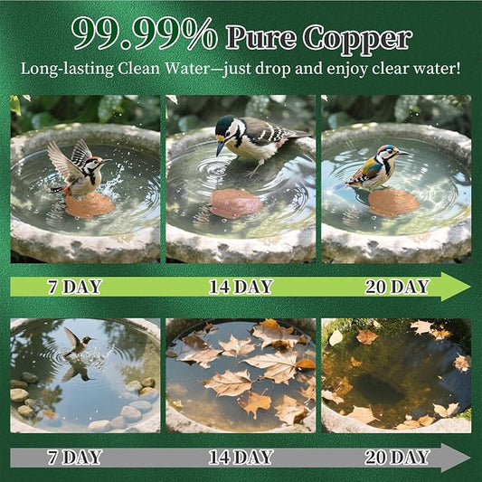 Bird Bath Copper Disk 2 Pack, 99.9% Pure Copper - Image 2