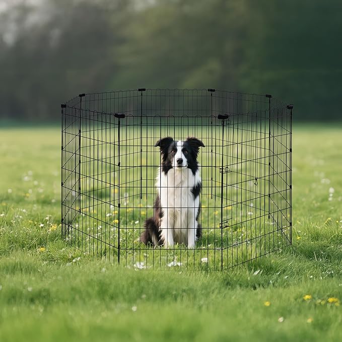 Amazon Basics Foldable Octagonal Metal Exercise Dog Playpen - Image 7